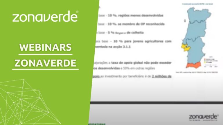 A Importância da Procura Ativa de Emprego: Quantas Vezes por Mês?