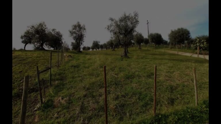 Descubra o Custo da Urbanização de um Terreno: Guia Completo