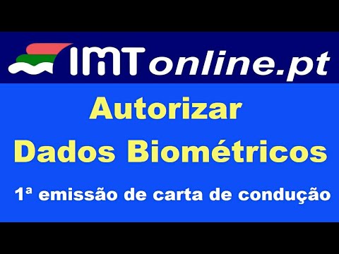 Principais Dados da Carta de Condução: Guia Completo