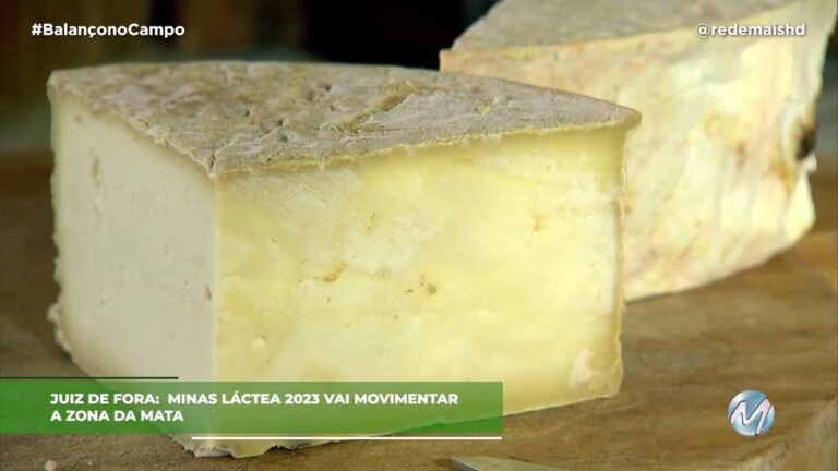 Como os laticínios de Gondomar conquistaram o paladar do Brasil
