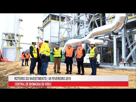 Endesa Viseu: A revolução energética que está transformando a cidade