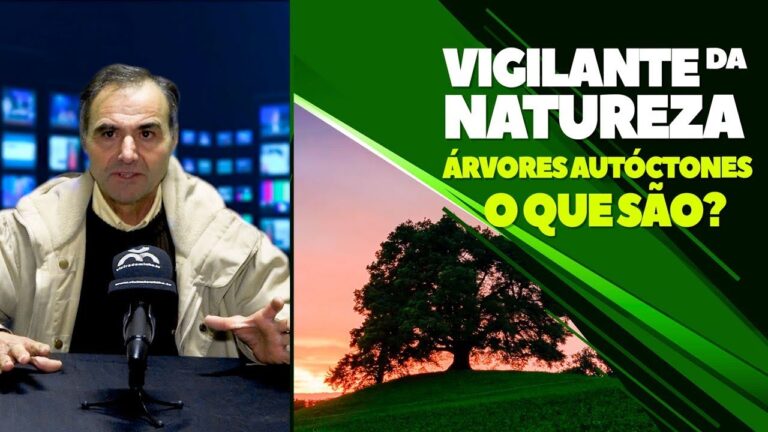 A import&acirc;ncia das &aacute;rvores aut&oacute;ctones para a preserva&ccedil;&atilde;o ambiental