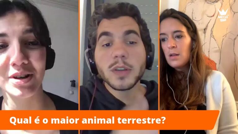 Desvendando Portugal: Perguntas Incr&iacute;veis de Cultura Geral!