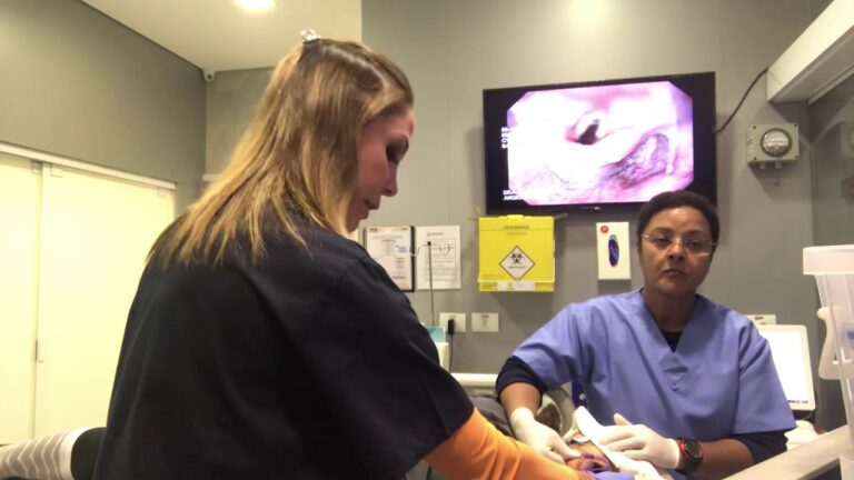 Endoscopia com Anestesia Comparticipada: O Futuro da Experiência do Paciente