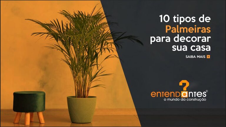 Descubra os Exóticos Tipos de Palmeiras em Portugal