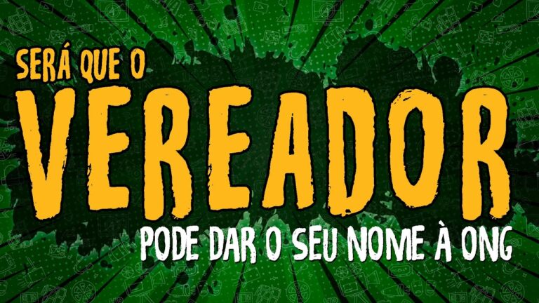 Os Bastidores da ONG Vida Nova: Transformando Vidas