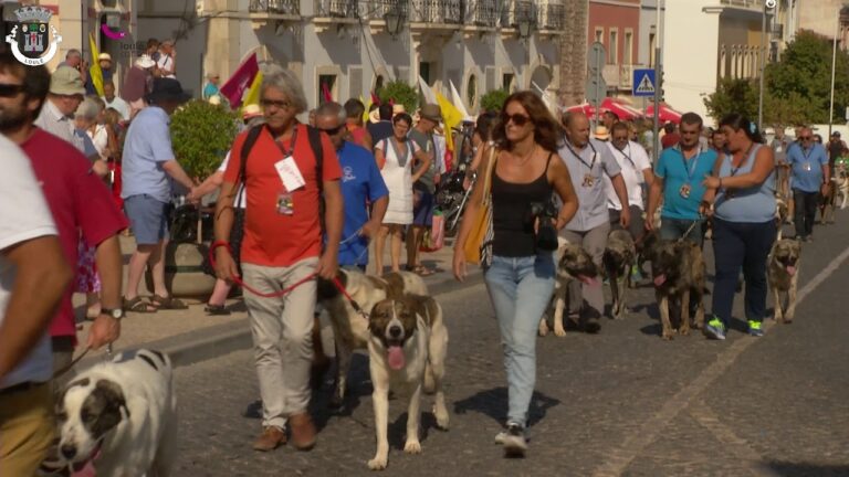 Hospital Veterinário Loulé: O Melhor Cuidado para o seu Animal de Estimação