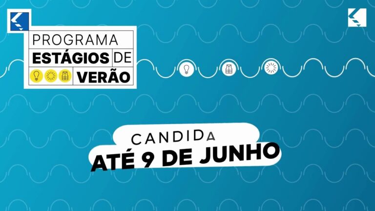 Estágios de Verão: Guia Completo para Candidatos