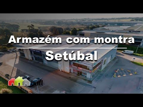 Mercado Abastecedor de Setúbal: O Epicentro da Comercialização