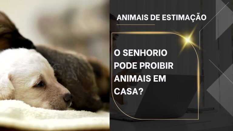 Regulamentação de Ruído de Animais: O Que Você Precisa Saber