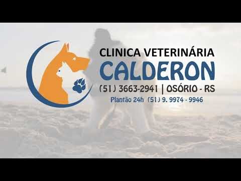 Cl&iacute;nica Veterin&aacute;ria em Penela: Cuidados Especializados para o seu Animal de Estima&ccedil;&atilde;o
