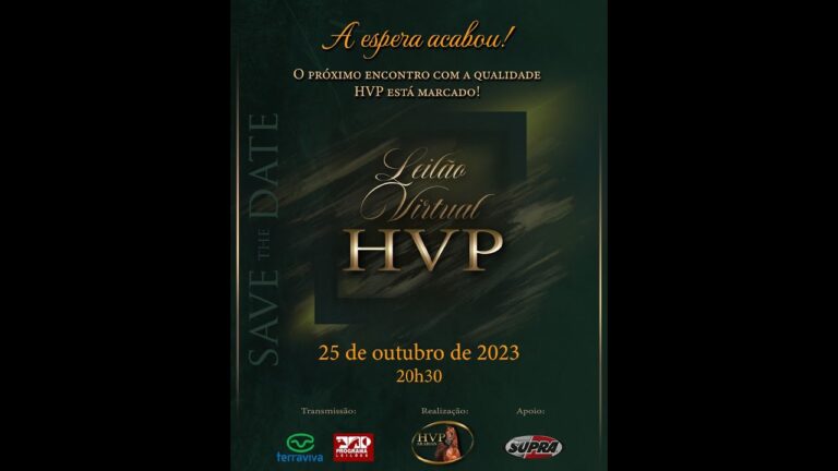 O Guia Completo do Aeroporto HVP Porto