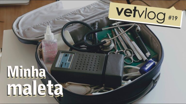 Centro Veterin&aacute;rio de Pera: Cuidados especializados para o seu pet