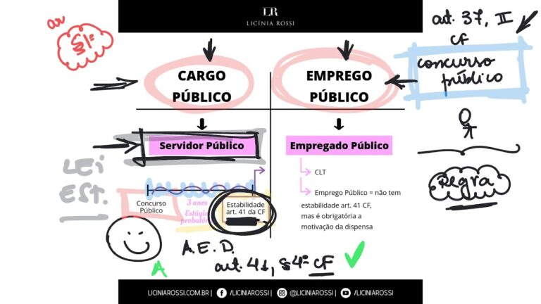 Emprego na Administração Pública: Estratégias de Sucesso