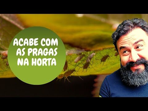 Multicare: Entenda o Período de Carência