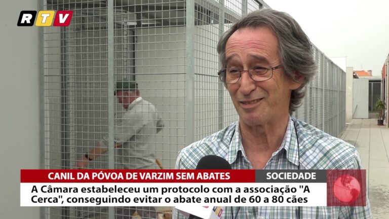 Guia do Canil em Póvoa de Varzim: Tudo o Que Precisa Saber