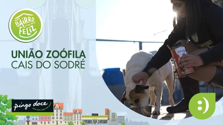 A Importância da Associação Zoófila de Lisboa na Proteção dos Animais