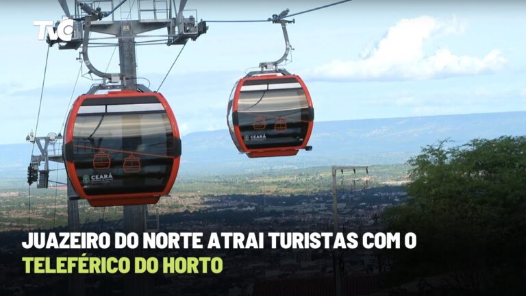 Orto M Norte: Guia Completo para uma Melhor Saúde