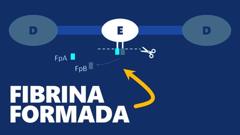 Clínica de Portomar: Cuidados de Saúde de Excelência