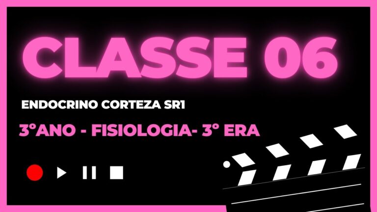 A Import&acirc;ncia da Cl&iacute;nica do Bacelo na Sa&uacute;de da Comunidade