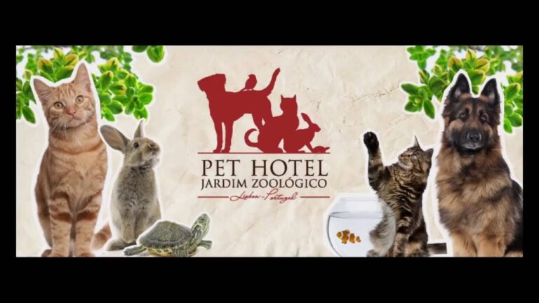 Hotel Pet no Jardim Zoológico: Conforto e Diversão para o seu Animal de Estimação