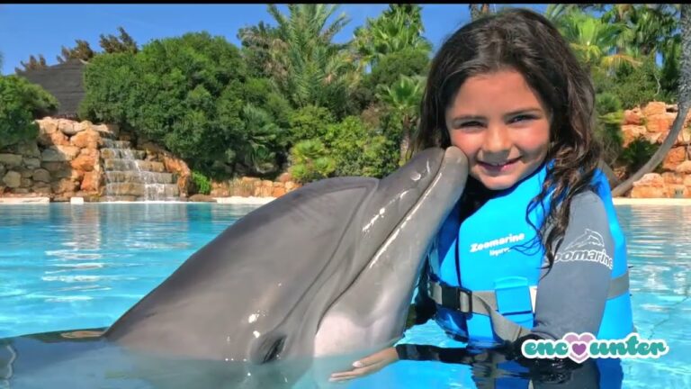 Contactos Zoomarine: Como Entrar em Contacto com o Parque Temático