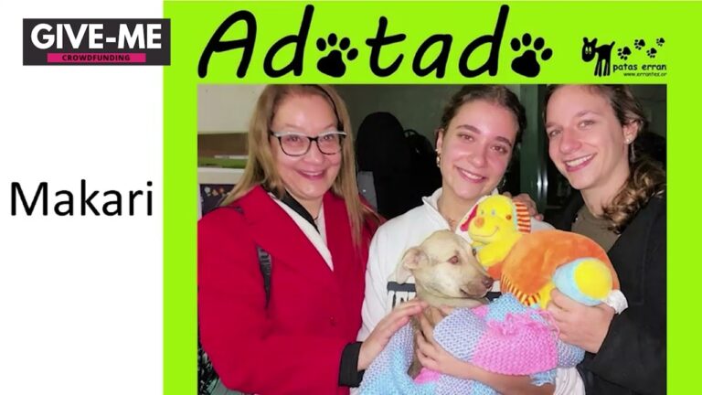 Benefícios fiscais para donativos a animais: Guia do IRS