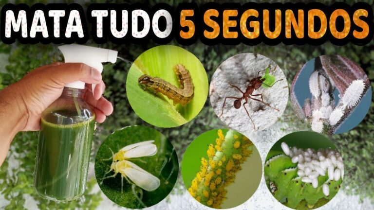 Farm&aacute;cia Matos: Vale de Cambra – O Seu Destino de Sa&uacute;de