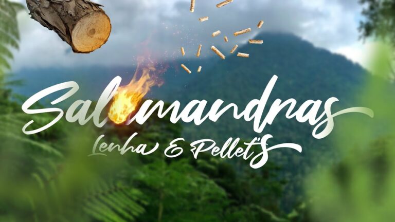 As melhores salamandras a pellets: guia de compra