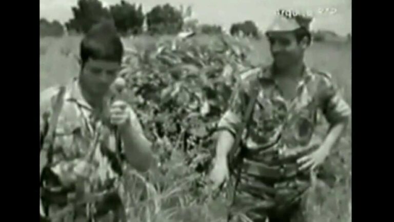 Veteranos de Guerra do Ultramar: Histórias de Coragem e Sacríficio
