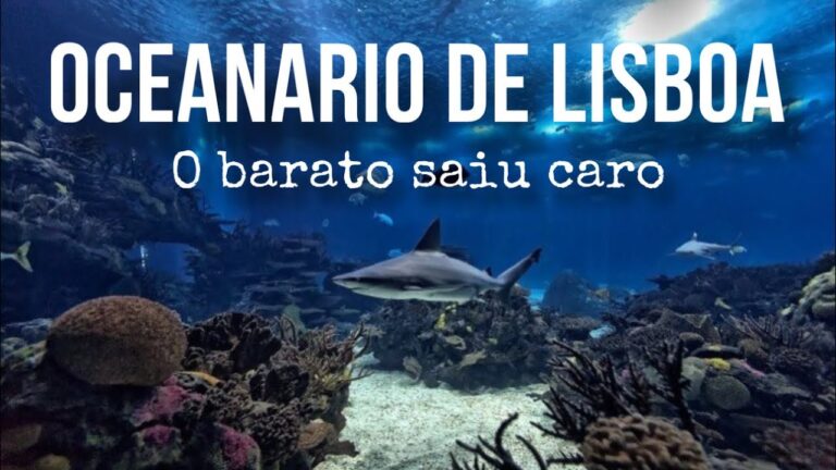 Desconto Imperdível no Oceanário: Garanta seu Voucher Agora!