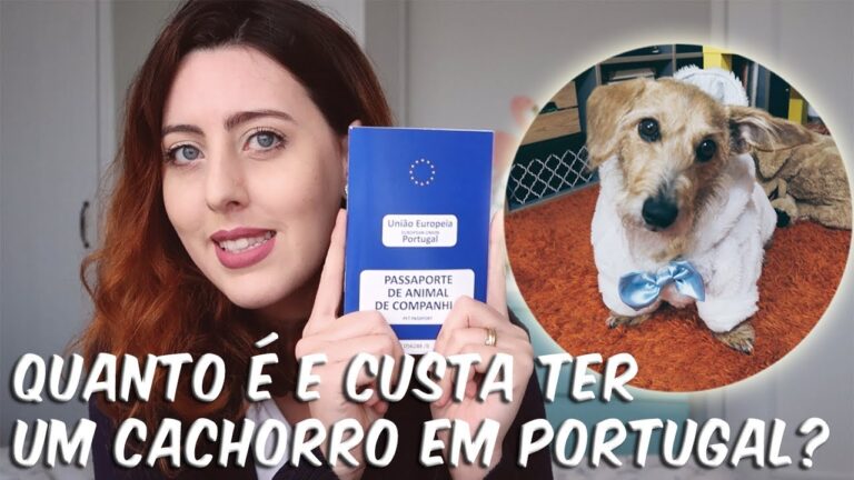 Zooplus Porto: Tudo o que precisa de saber