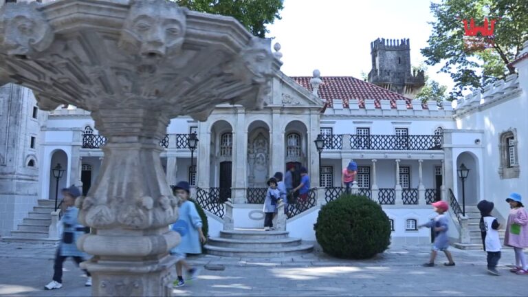 Pre&ccedil;o em Portugal para os Pequeninos: Guia Conciso
