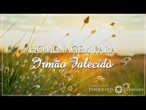 Carta ao Meu Irmão no Céu