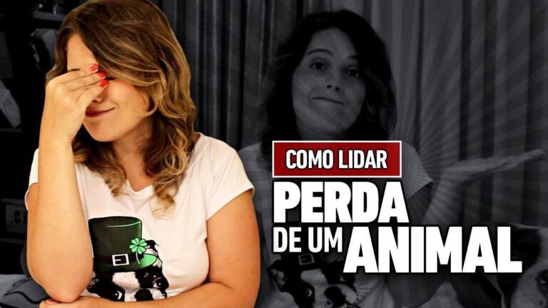 Guia completo para cuidar do seu animal de estimação: texto essencial