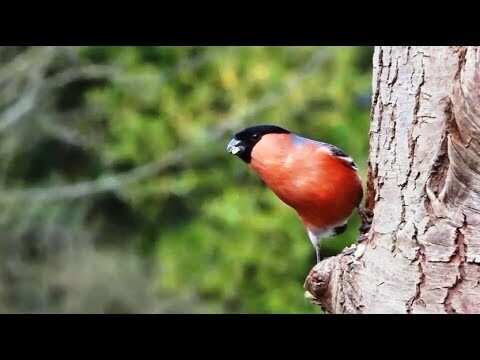 Explorando as Melhores Papelarias em Fafe: Opções e Variedade
