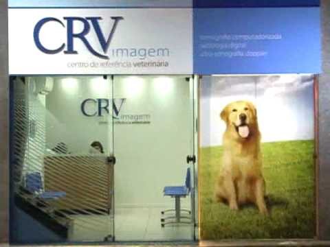 A Clínica da Aveleira: O Melhor Cuidado para a sua Saúde