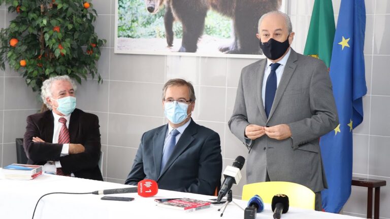 O impacto da compaix&atilde;o no ambiente hospitalar