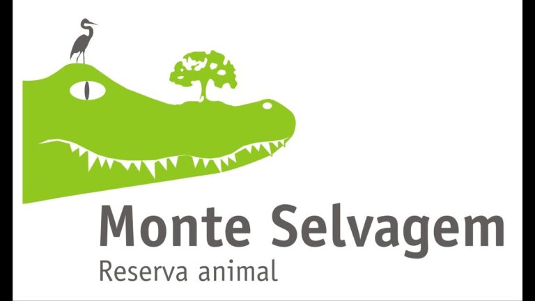 Compre bilhetes para o Badoca Park: Reserve agora!
