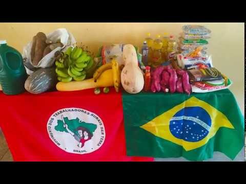Guia dos Melhores Nomes de Associações de Solidariedade
