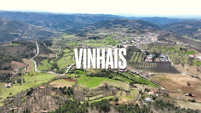 Vinhais Bungalows: O Refúgio Perfeito na Natureza