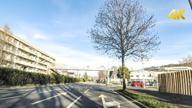 Contactos da Carglass em Braga: Tudo o que Precisa Saber