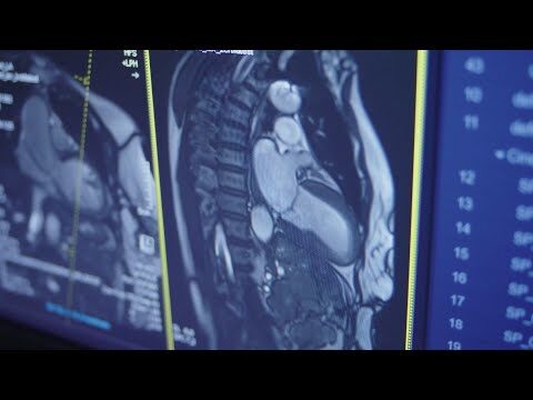 Instituto de Cardiologia de Lisboa: Excelência em Saúde Cardiovascular