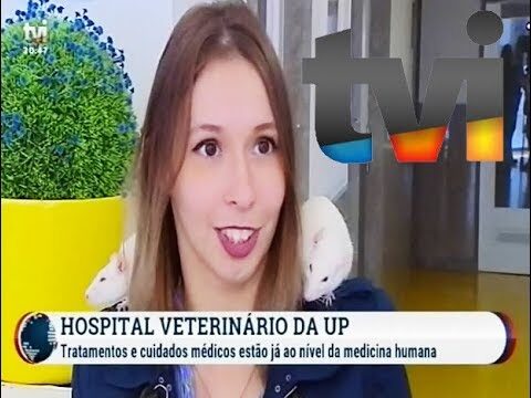 Guia dos Melhores Hospitais Veterin&aacute;rios no Porto
