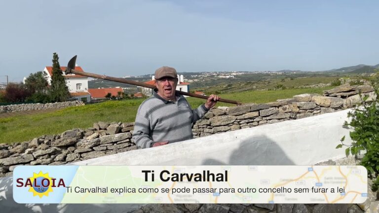 Mudar de concelho: Guia para uma mudan&ccedil;a eficiente