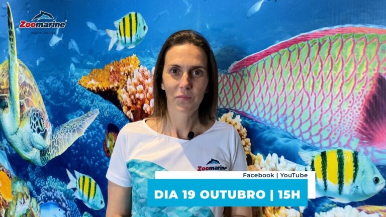 Entrada no Zoomarine: Tudo o que precisa de saber