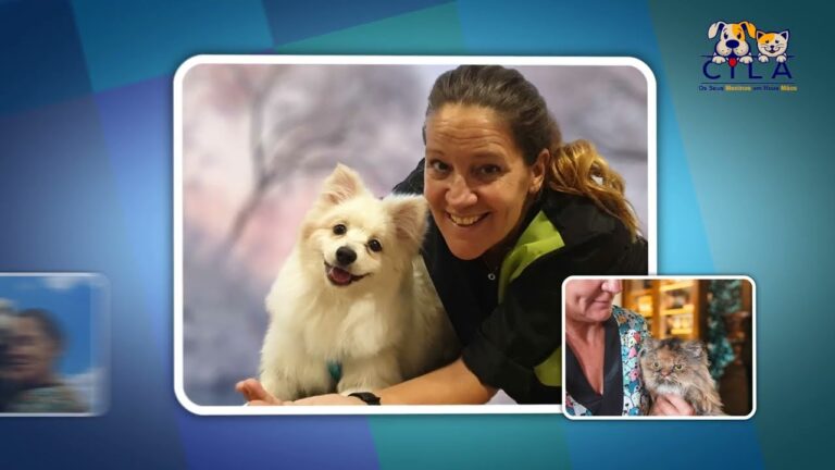 Serviço de Veterinário ao Domicílio em Lisboa