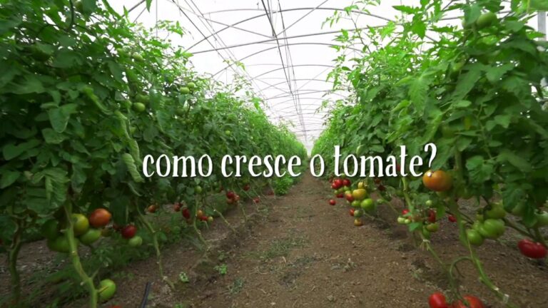 Descubra os Sabores do Cabaz da Quinta do Arneiro