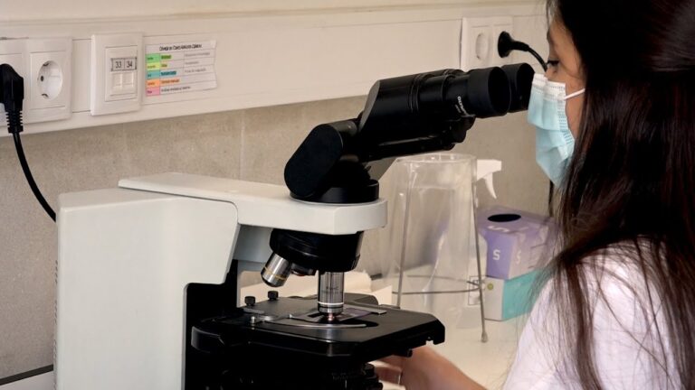 Laborat&oacute;rio de An&aacute;lises em Coimbra: Qualidade e Precis&atilde;o