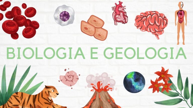 O papel dos testes na biologia do 10&ordm; ano